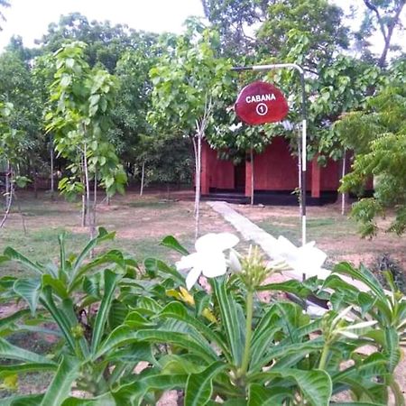 Lavish Eco Jungle Hotel Tissamaharama Buitenkant foto