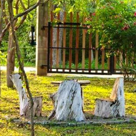 Lavish Eco Jungle Hotel Tissamaharama Buitenkant foto
