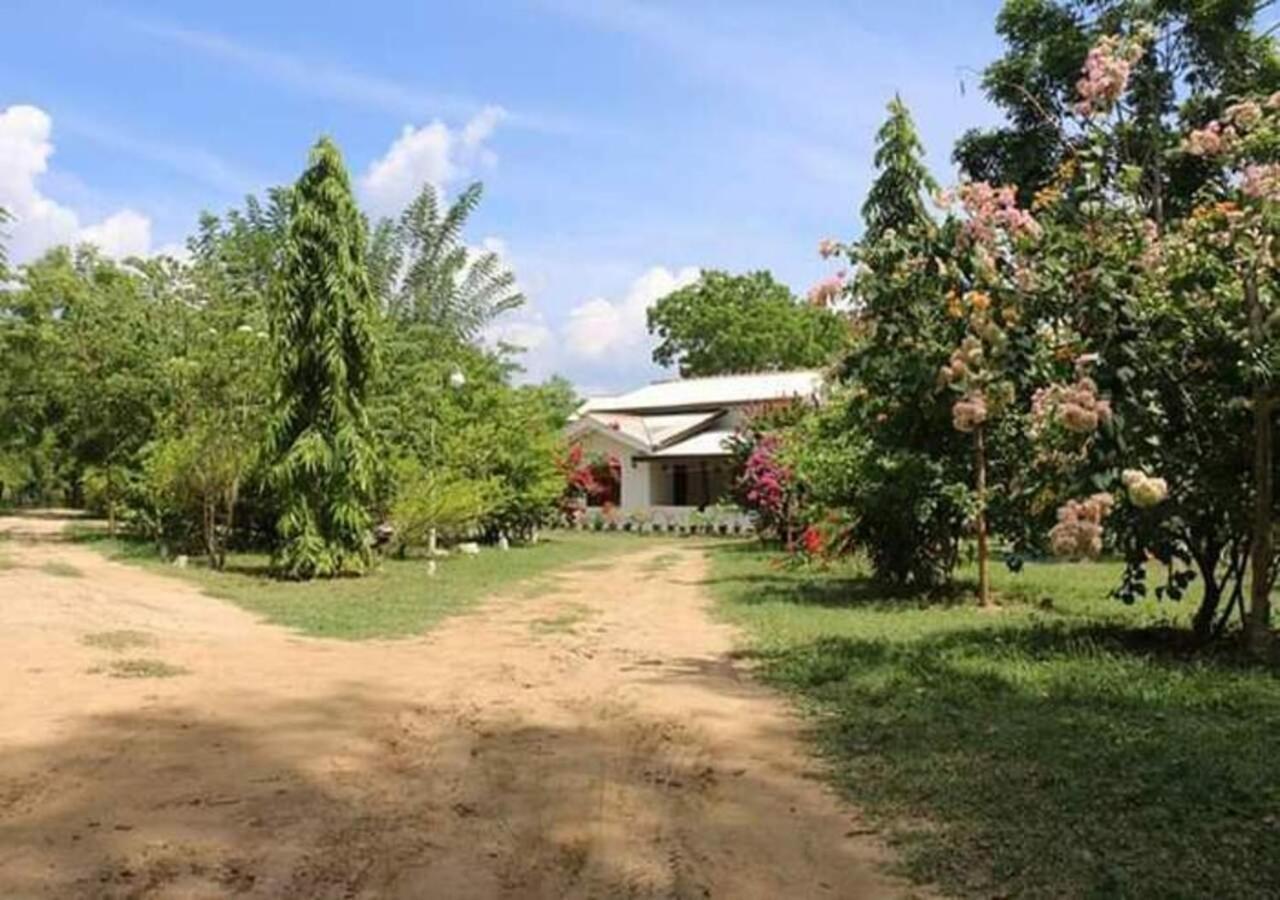 Lavish Eco Jungle Hotel Tissamaharama Buitenkant foto