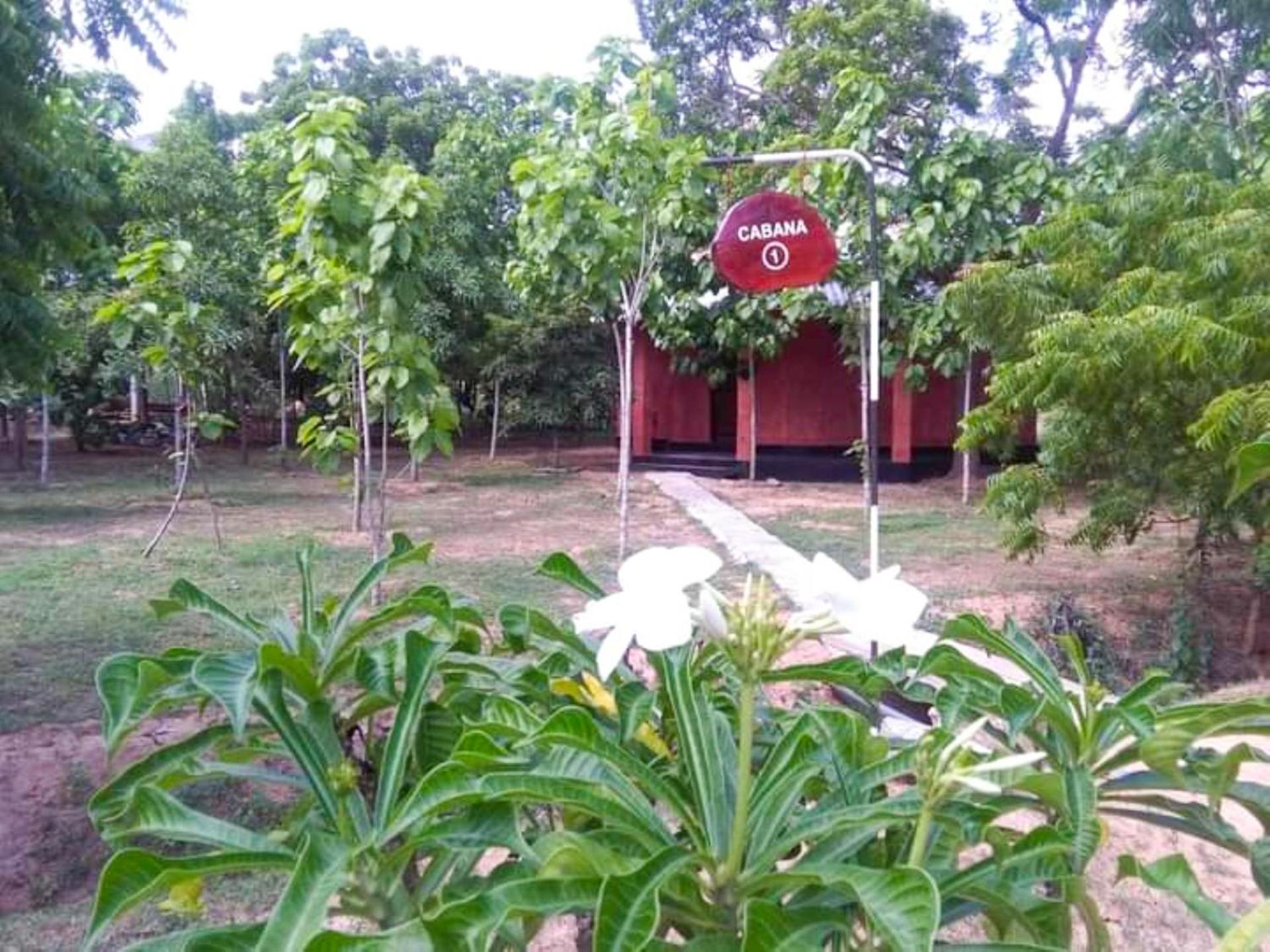 Lavish Eco Jungle Hotel Tissamaharama Buitenkant foto