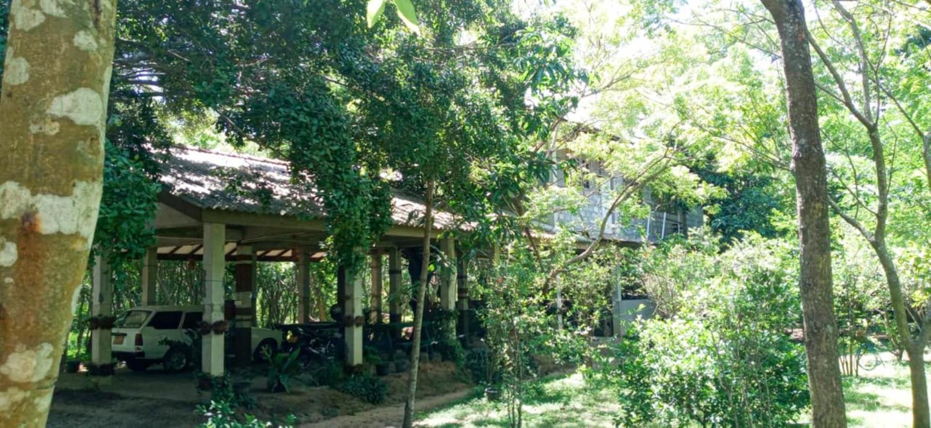 Lavish Eco Jungle Hotel Tissamaharama Buitenkant foto