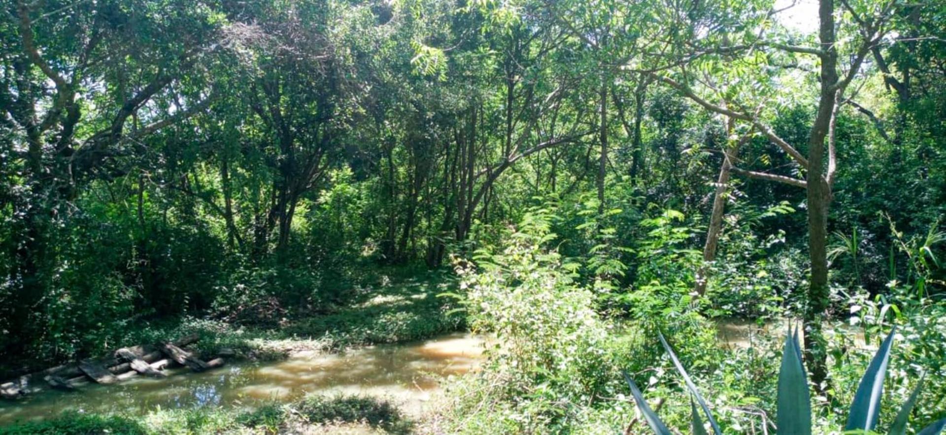 Lavish Eco Jungle Hotel Tissamaharama Buitenkant foto