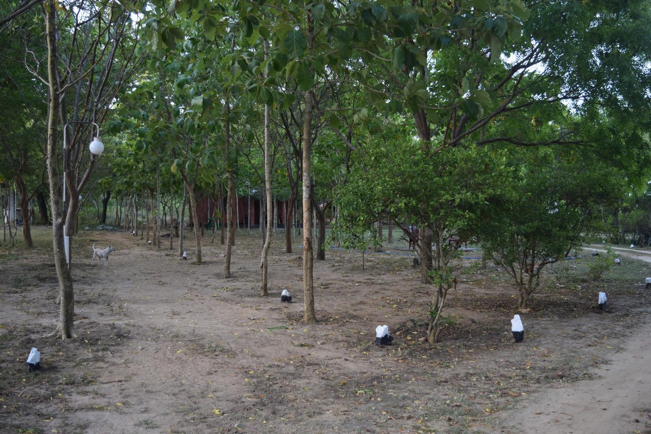 Lavish Eco Jungle Hotel Tissamaharama Buitenkant foto