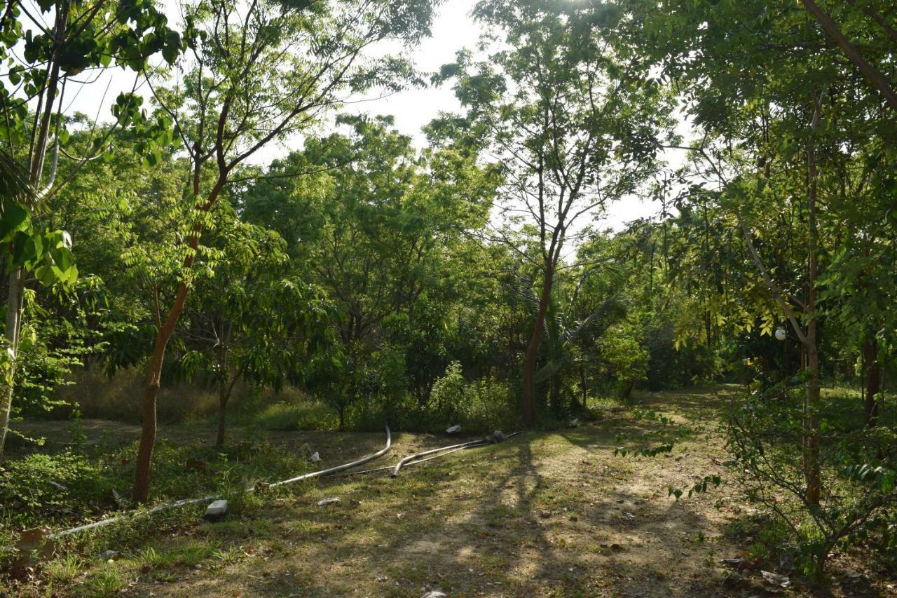 Lavish Eco Jungle Hotel Tissamaharama Buitenkant foto