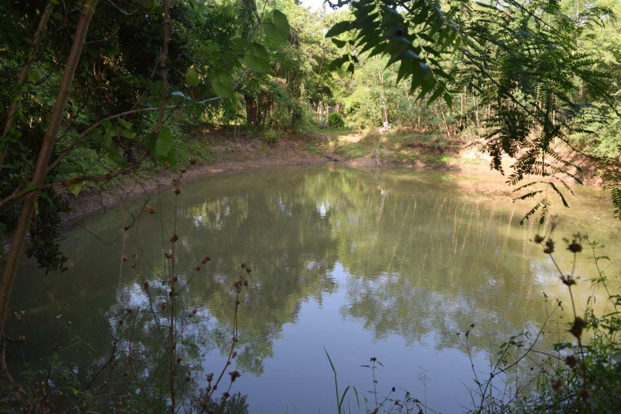 Lavish Eco Jungle Hotel Tissamaharama Buitenkant foto