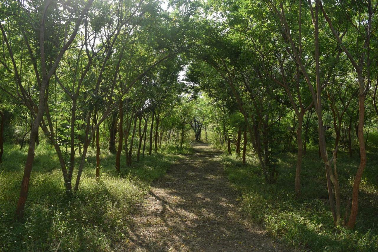 Lavish Eco Jungle Hotel Tissamaharama Buitenkant foto